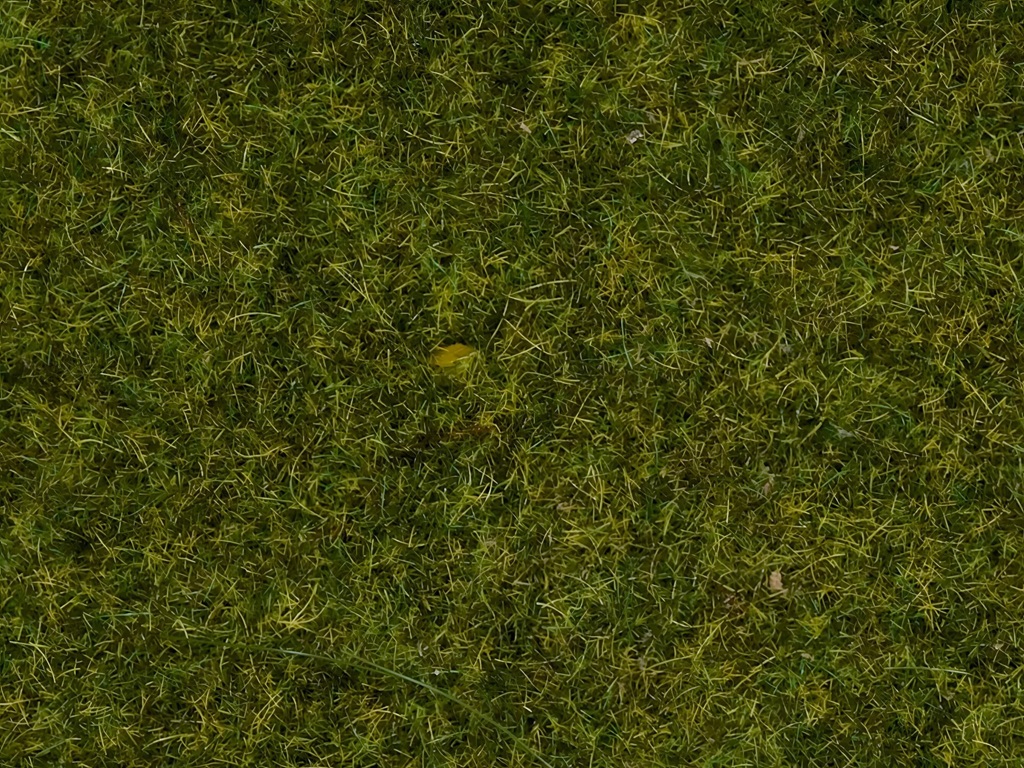 Noch Statická tráva Louka 2,5 mm