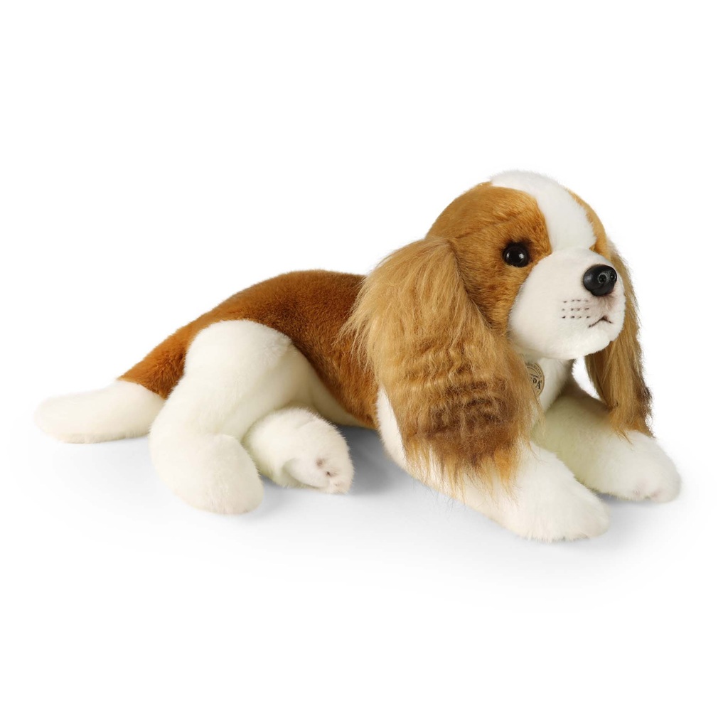 Rappa Plyšový pes kavalír King Charles španěl 40 cm ECO-FRIENDLY